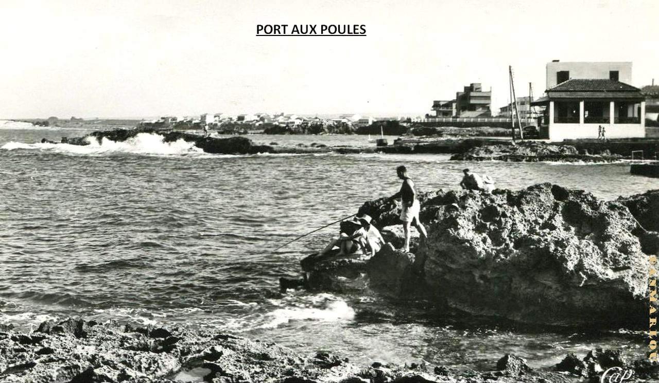 Port aux poules 110.jpg